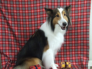 ティアラちゃん