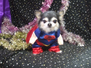 りりぃーちゃん