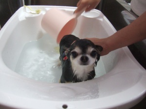 りりぃーちゃん