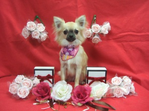 ルンルンちゃん