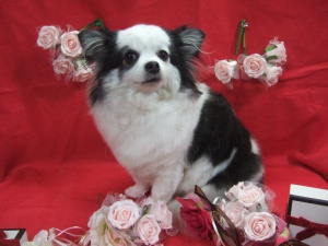 ルンルンちゃん