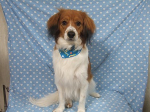 ロッティーくん