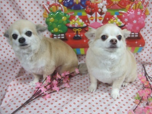 ごえもんくんとりょうまくん