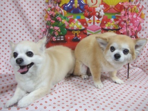 ごえもんくんとりょうまくん