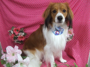 ロッティーくん