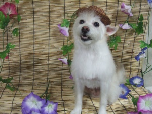 ゆうたろうくん