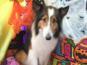 ティアラちゃん