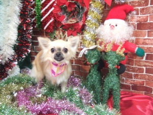 るんるんちゃん