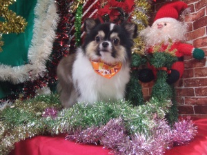 るんるんちゃん