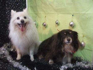 らんちゃん&あさりちゃん