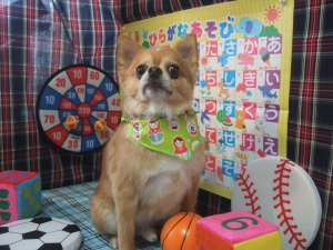 まめたろうくん