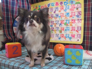 まめたろうくん