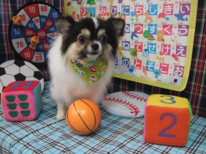 たんたんくんの初めてのお風呂