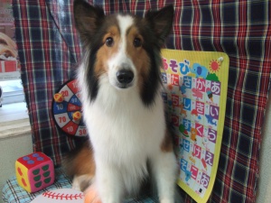 ティアラちゃん