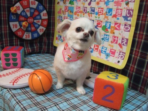 エンジェルちゃん