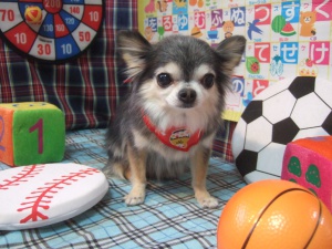 リリィーちゃん