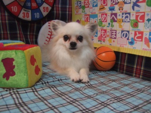 リリィーちゃん