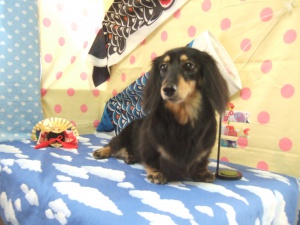 エクレアちゃん