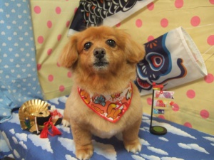 チャチャ丸ちゃん