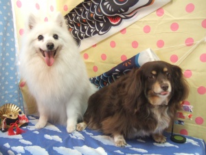 らんちゃんとあさりちゃん