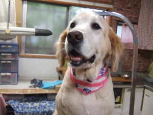 オリーナちゃん