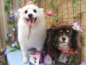 らんちゃんとあさりちゃん