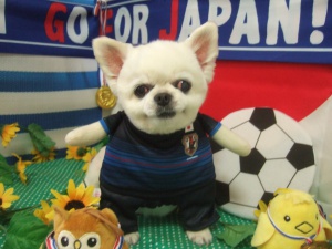 サムライJAPANのマークくん