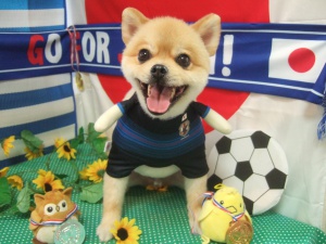 レオンくん