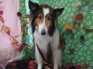 ティアラちゃん