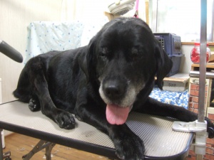 まんじろうくん