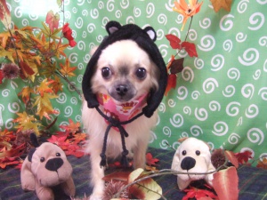 るんるんちゃん