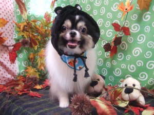 るんるんちゃん