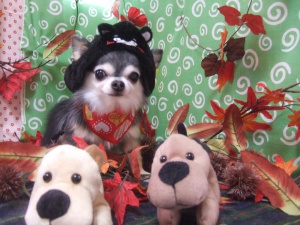 リリィーちゃん