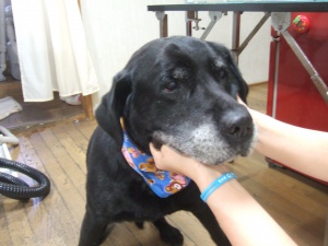 まんじろうくん