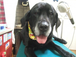 まんじろうくん