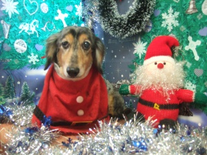 アーノルドくん