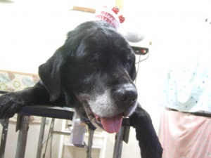 まんじろうくん