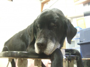 まんじろうくん