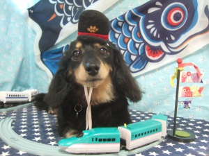 エクレアちゃん