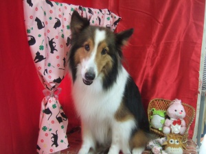 ティアラちゃん