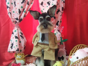 サンディーくん