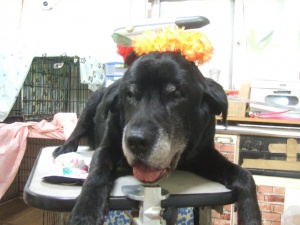 まんじろうくん