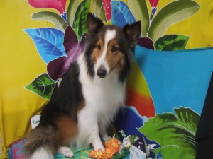 ティアラちゃん