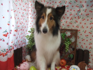 ティアラちゃん