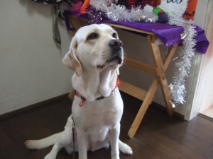 フルールちゃん