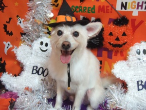 ゆうたろうくん