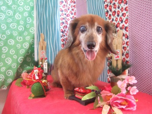 チャッピーちゃん