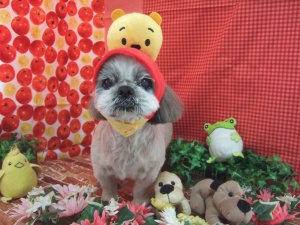 ミッキーくん