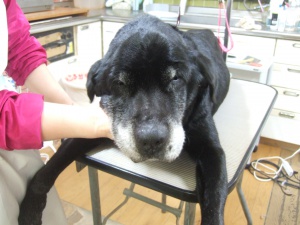 まんじろうくん