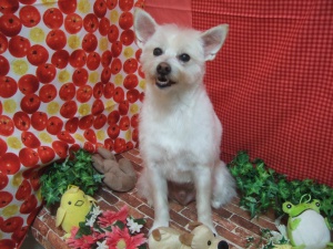 ゆうたろうくん